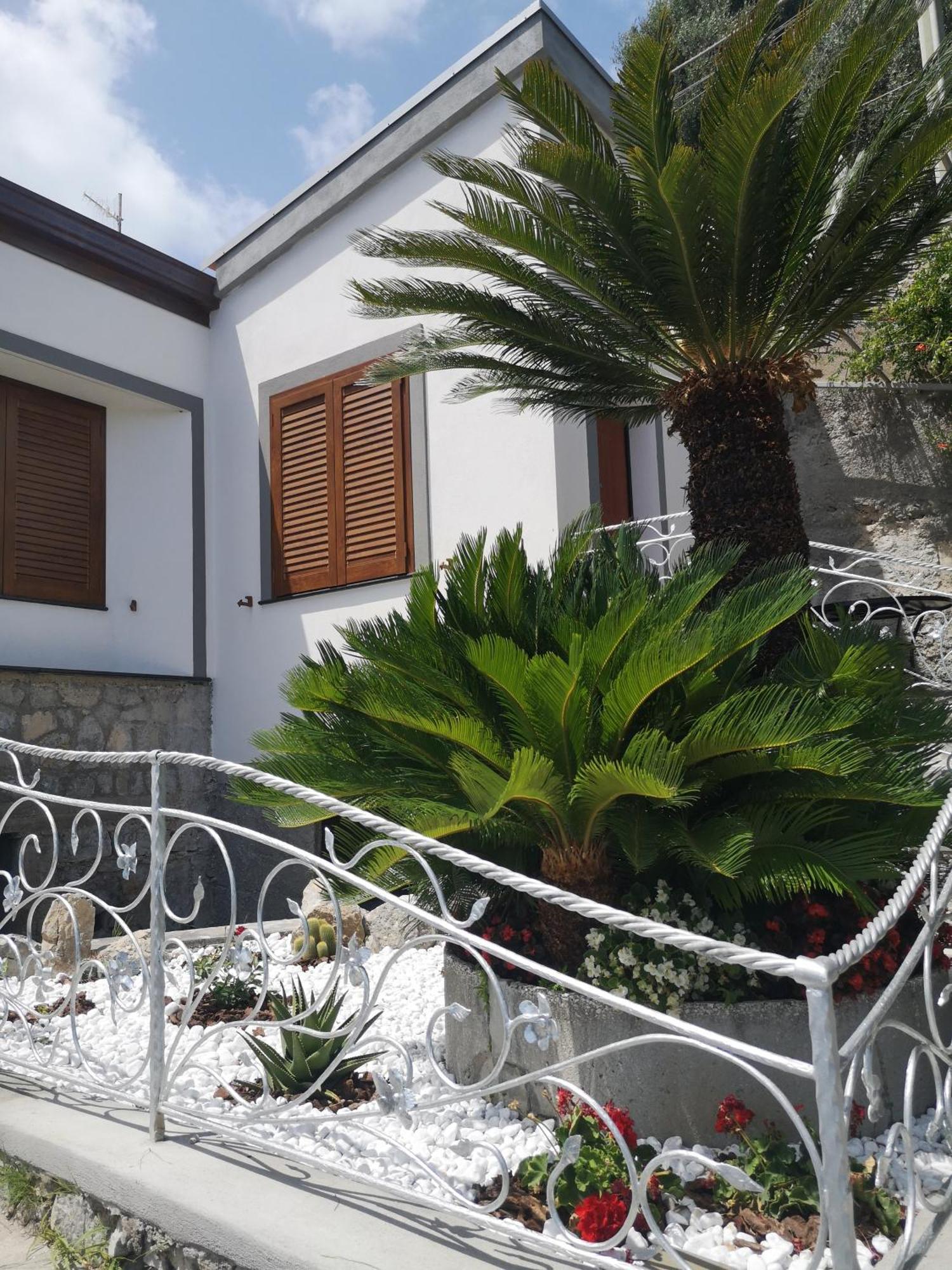 פורורה Villa Furoris Apartment מראה חיצוני תמונה